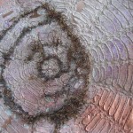copper, clay, wool, organza, embroidery 50 x 37,5 x 20 cm / 2005